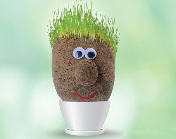 Blog-GM-lessen Hoe je een growth mindset tot leven brengt
