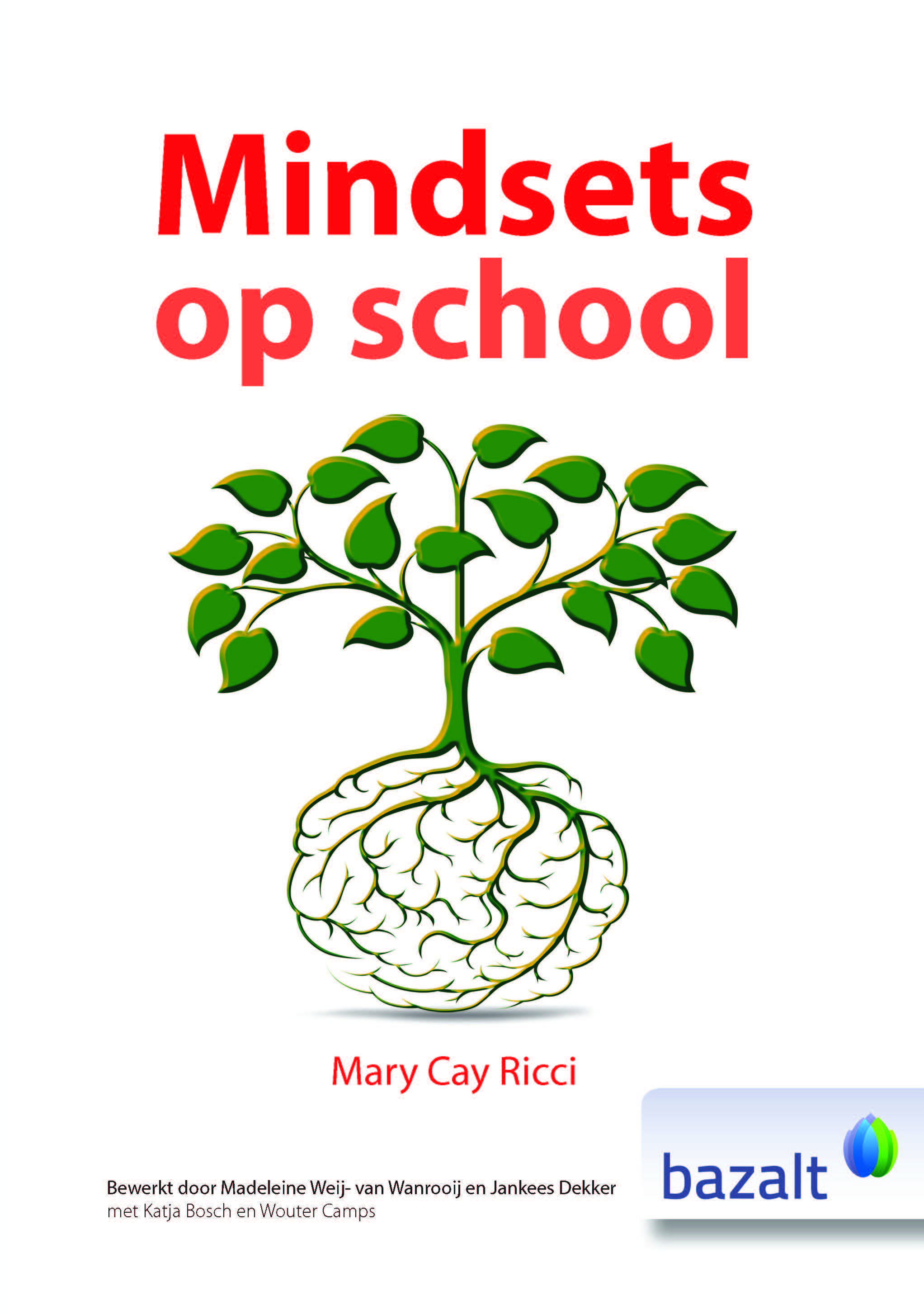 Mindsets op school