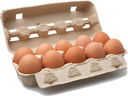eierdoosje Het verschil tussen je school en een eierdoos