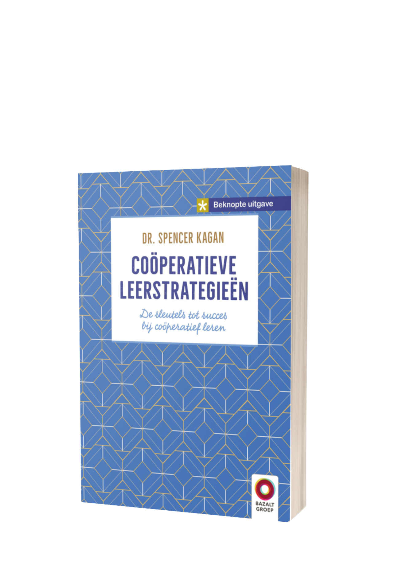 Coöperatieve leerstrategieën - beknopte uitgave